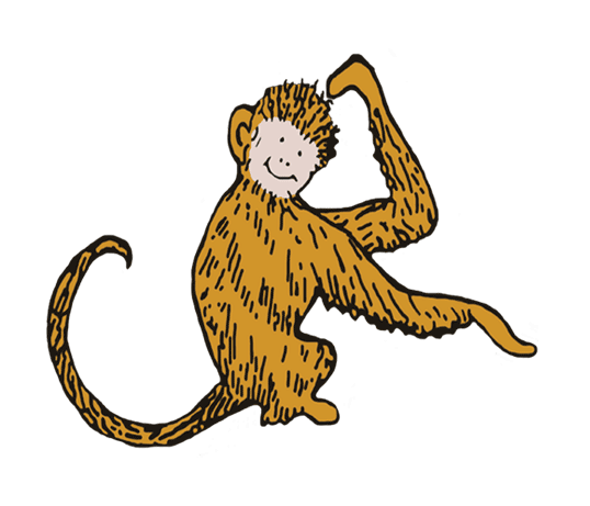 Lucas Monkey Lucas
