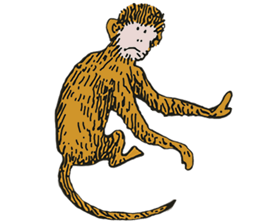 Gormley Monkey Gormley
