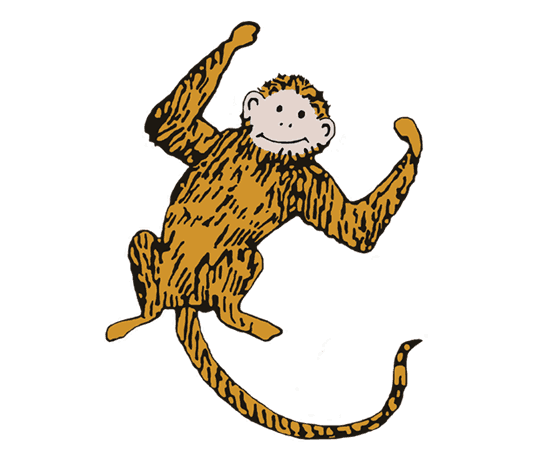 Aiden Monkey Aiden