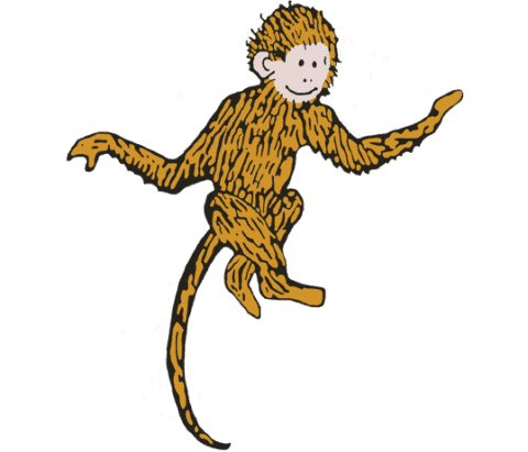 Regina Monkey Regina